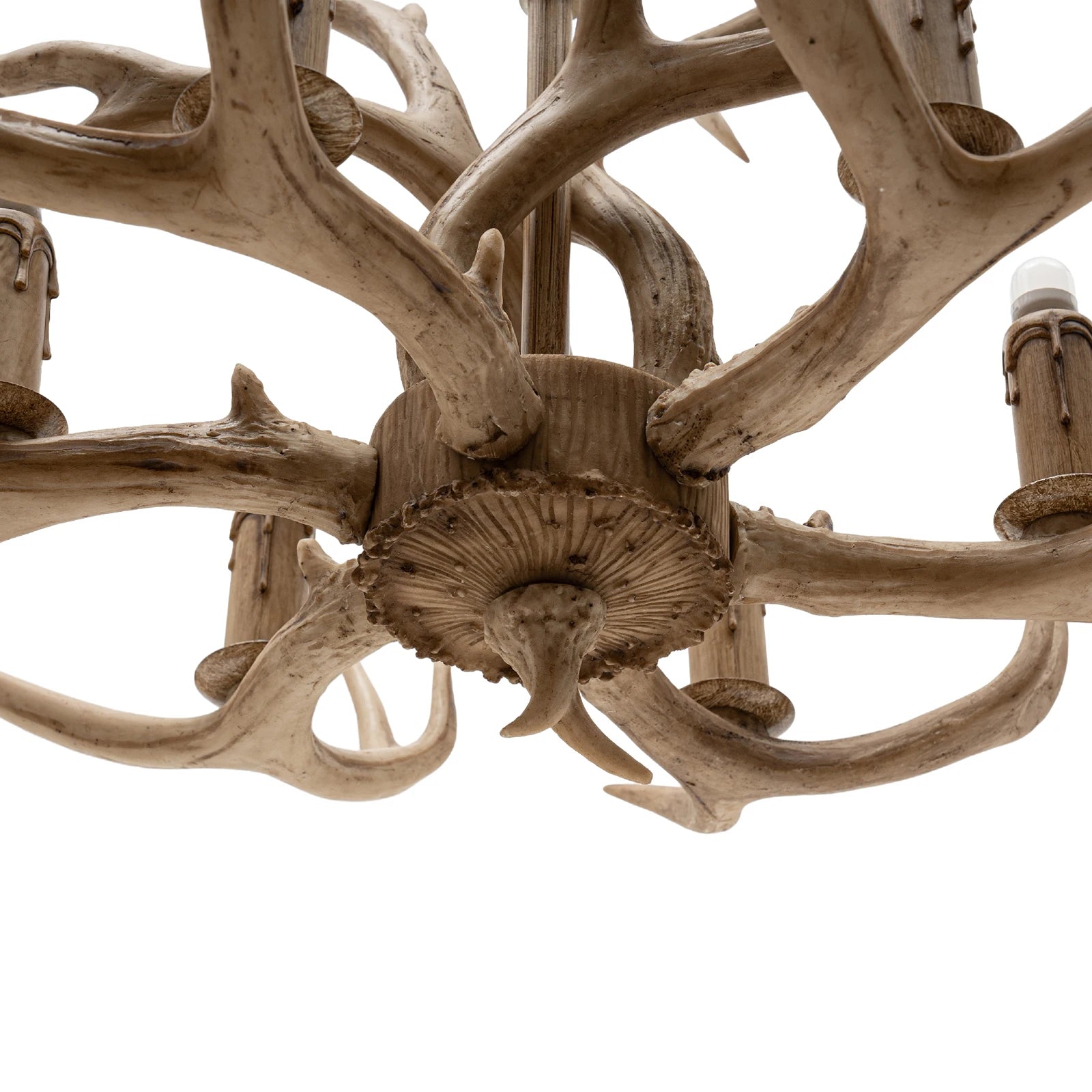 Deer Antler Chandelier for Sale